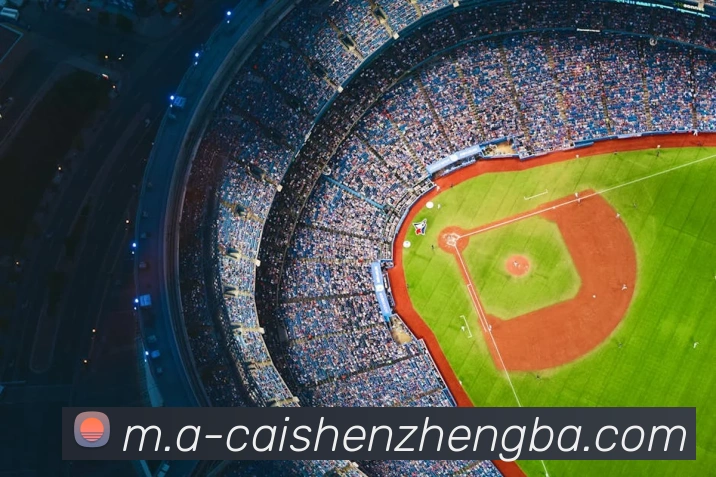 彩神争霸平台生态图